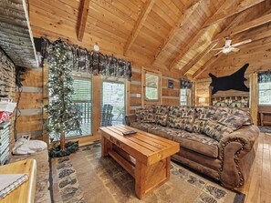 Fernseher, Kamin, DVD-Player, Bücher