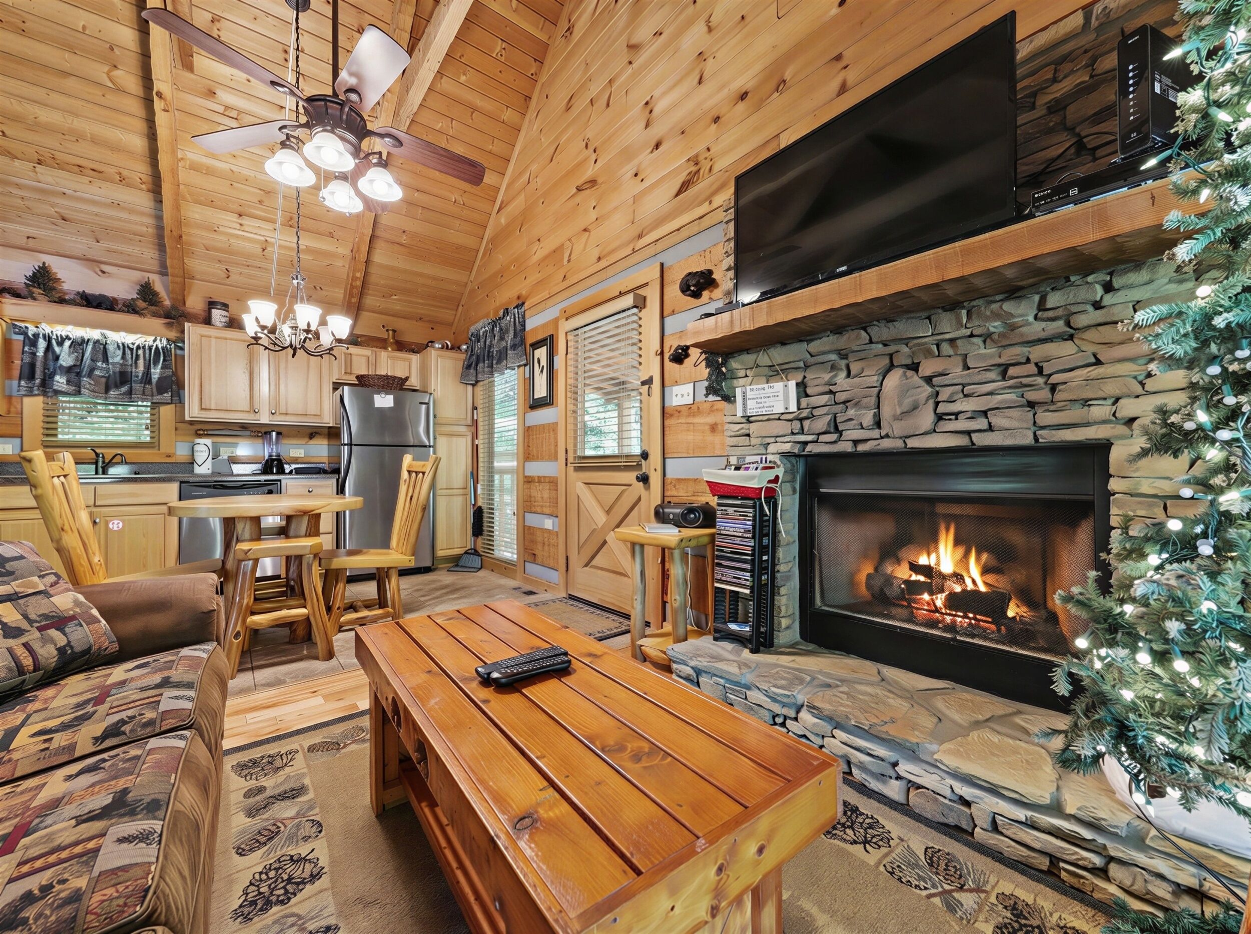 TV, fireplace, DVD player, books