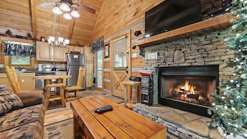 TV, fireplace, DVD player, books