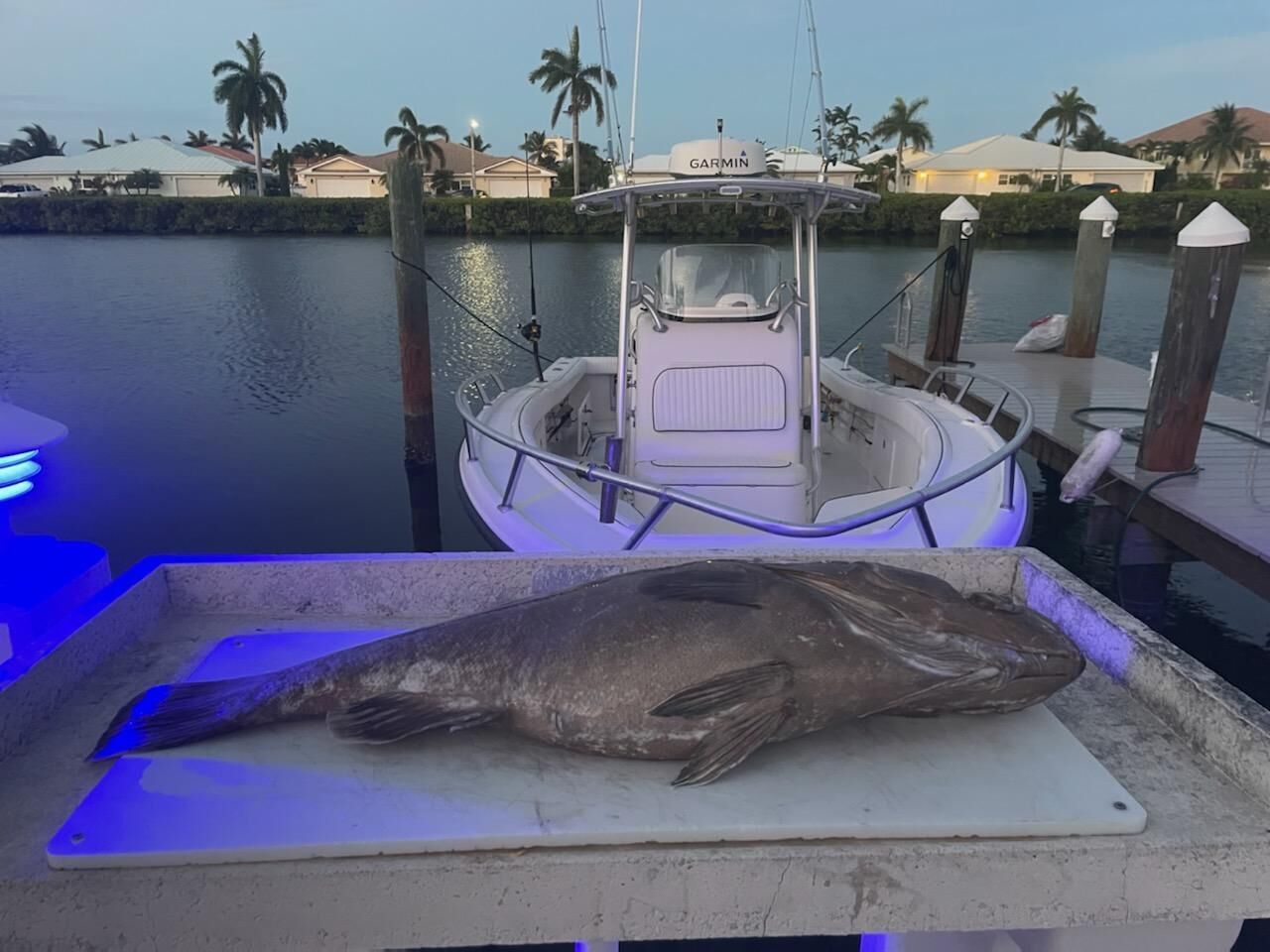 A large fish on a cutting board at a marina with a boat docked in the background.