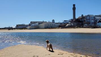 Beach nearby, beach towels
