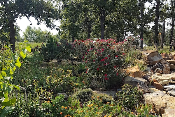 Continuous waterfall in hillside garden with meditation bench