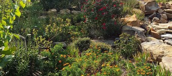 Quiet Country Get Away with big porches, swimming pool, and fishing pond.