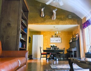 Chimenea, reproductor de DVD, libros, videoteca