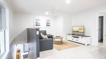 Fladskærms-tv, pejs, spillekonsol, Netflix