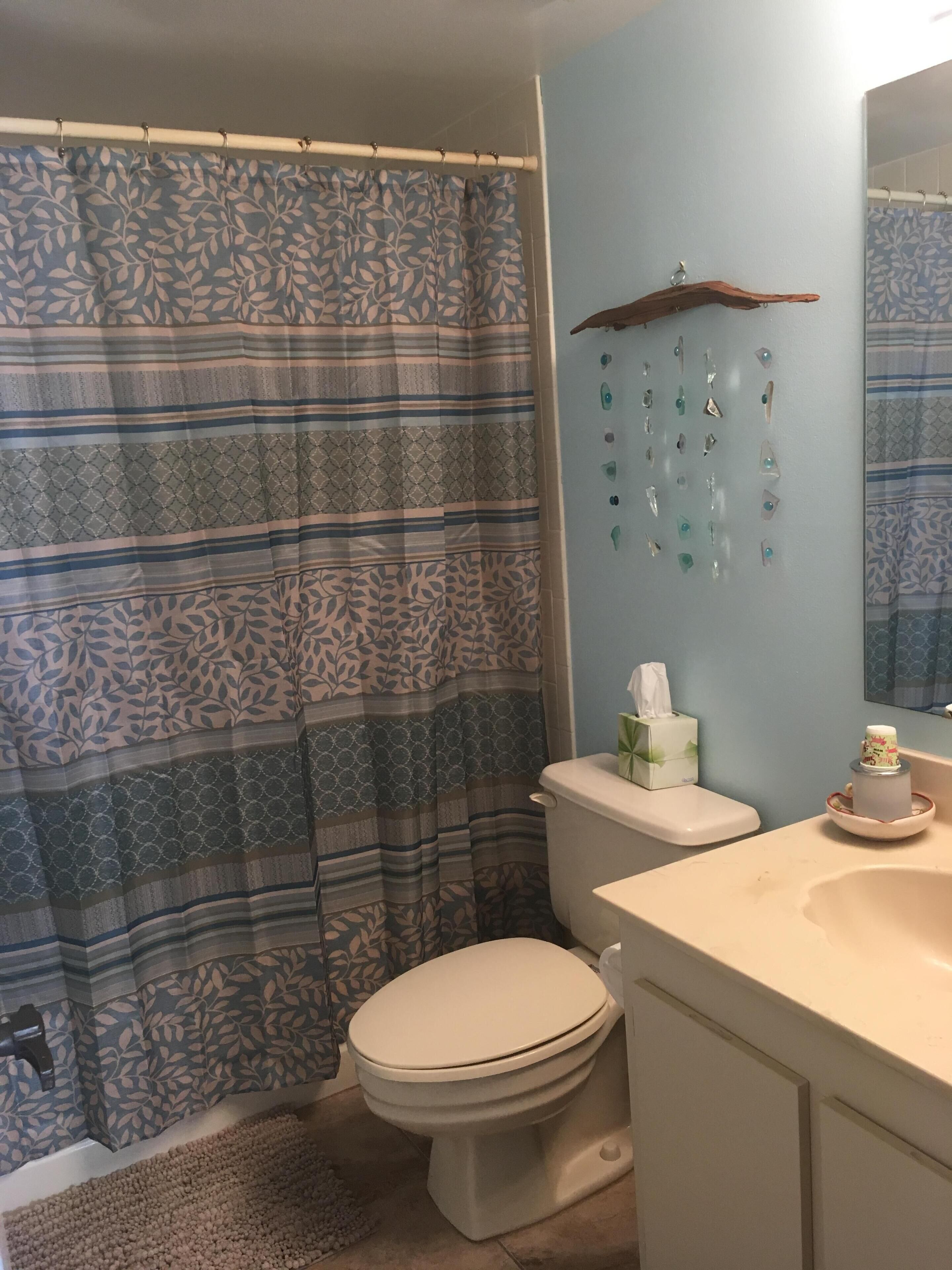 Un baño con cortina de ducha, inodoro, lavabo y elementos decorativos.