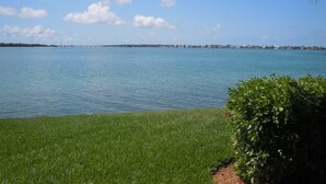 A view of a calm body of water with a distant shoreline, a grassy area in the foreground, and a clear sky. - 1 month minimum, waterfront, see dolphins, pool/hot tub (Saint Petersburg)