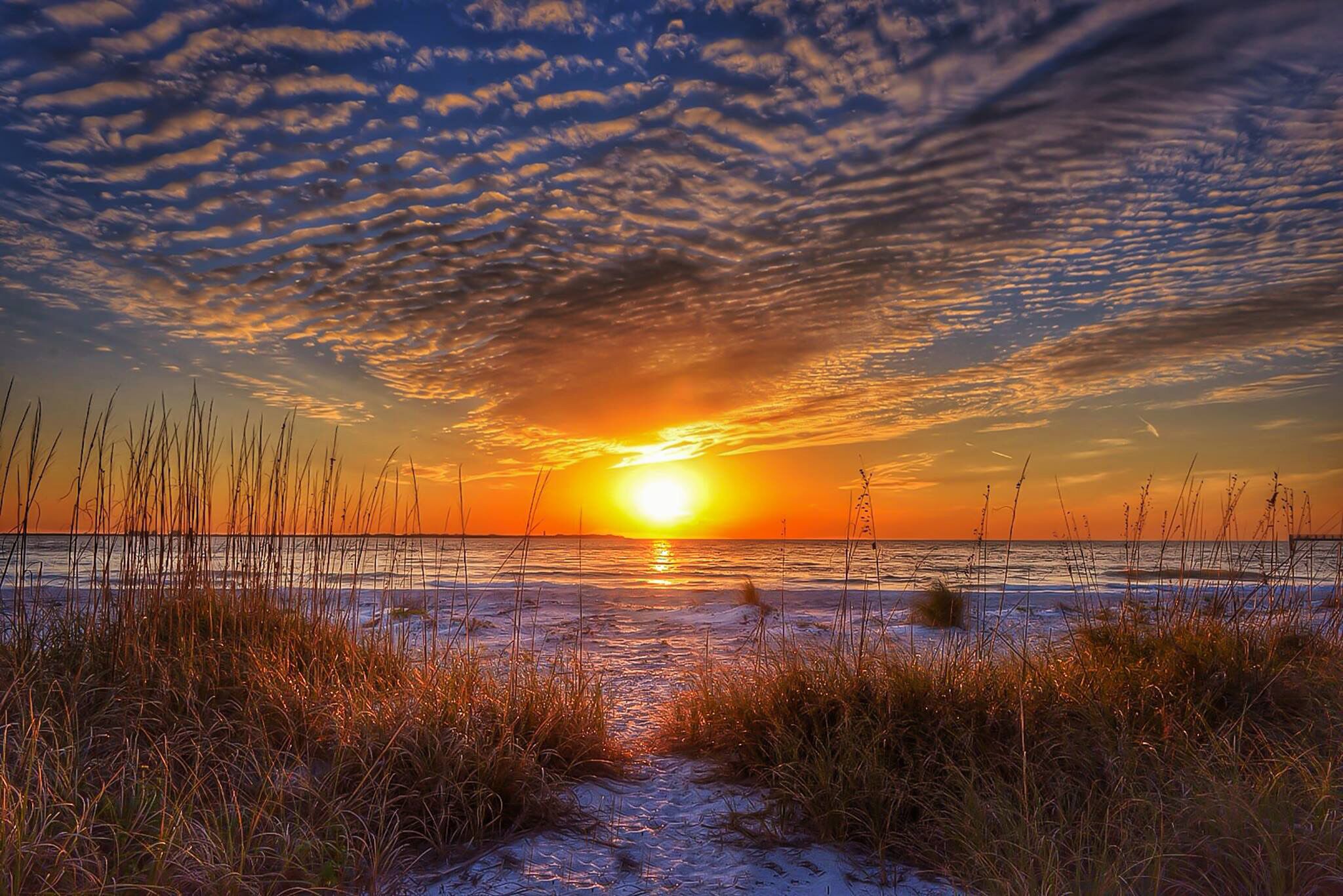 Escena de playa con atardecer, arena y pasto.