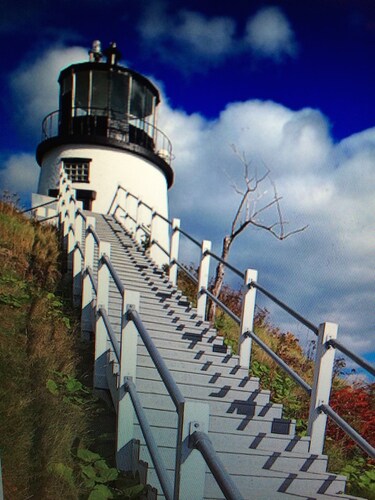 Cozy Maine Coast Cottage - Minutes from Popham Beach