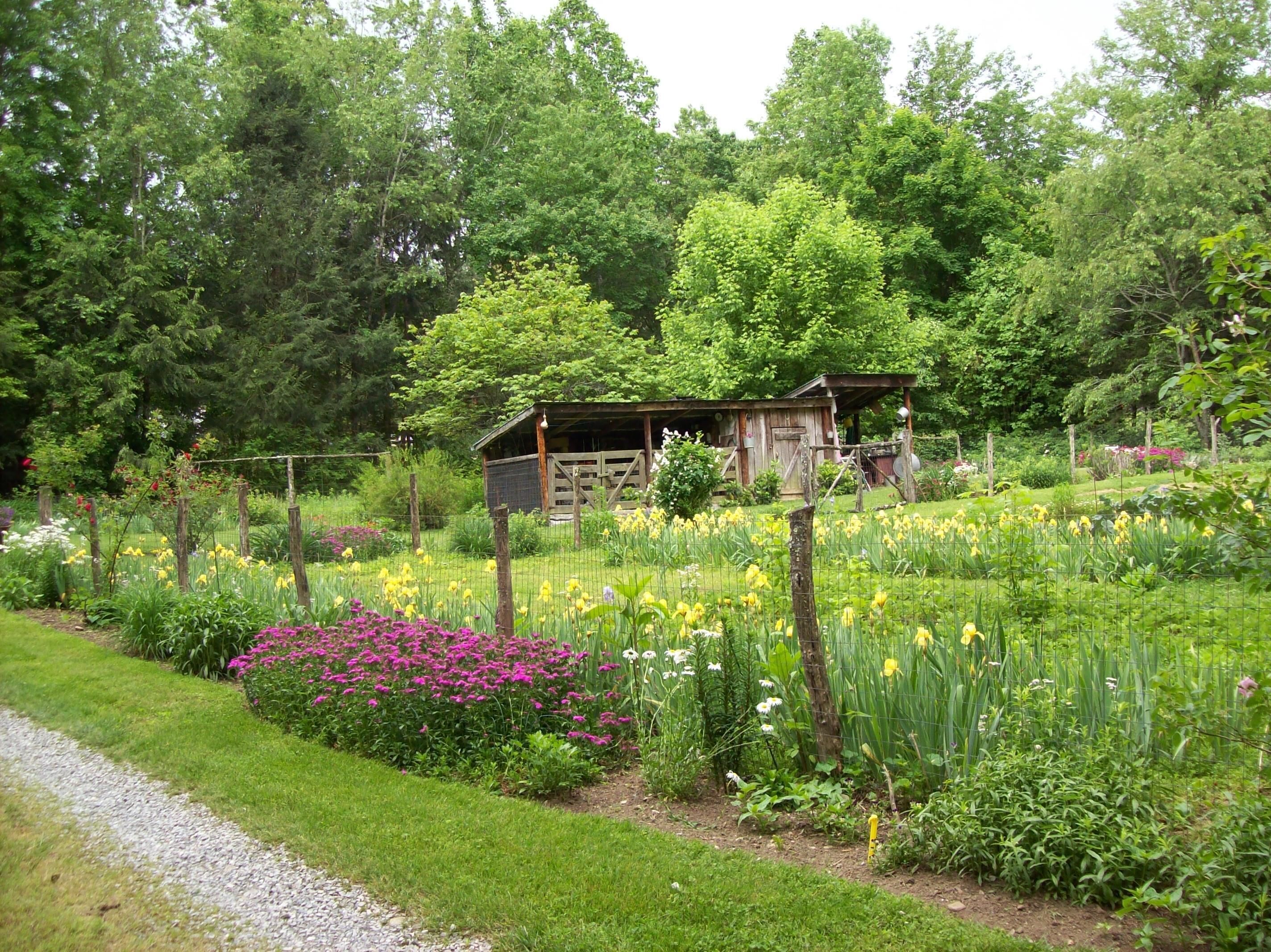 Un chalet rustique en bois, entouré d’un jardin luxuriant où poussent différentes espèces de fleurs et d’arbres.