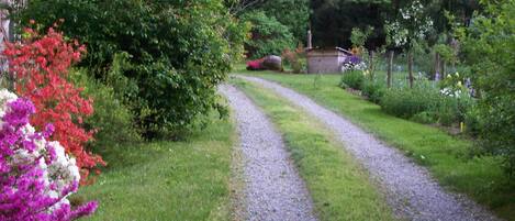 A gravel path leading through a garden with various flowering plants and a small building in the background.