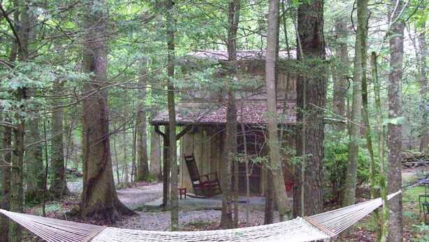 Een rustieke hut omringd door hoge bomen, met een hangmat op de voorgrond.