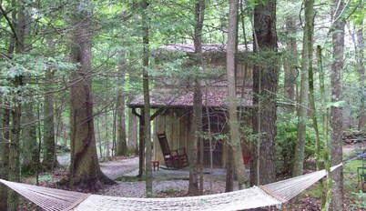 Private/secluded & Sanitized in Mature Woods by Park short walk to Creek Pets OK