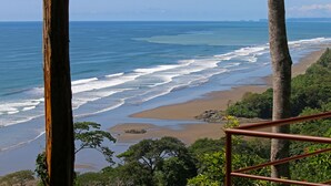 Vista costera con playa, olas del océano y zona boscosa.