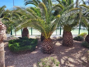 Parco della struttura