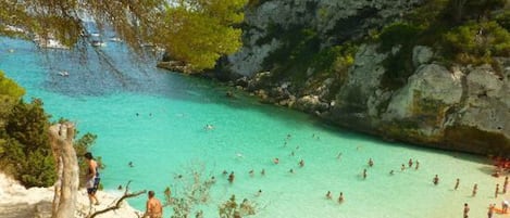 Une plage côtière aux eaux turquoise et limpides, bordée de falaises rocheuses et d’une végétation luxuriante.