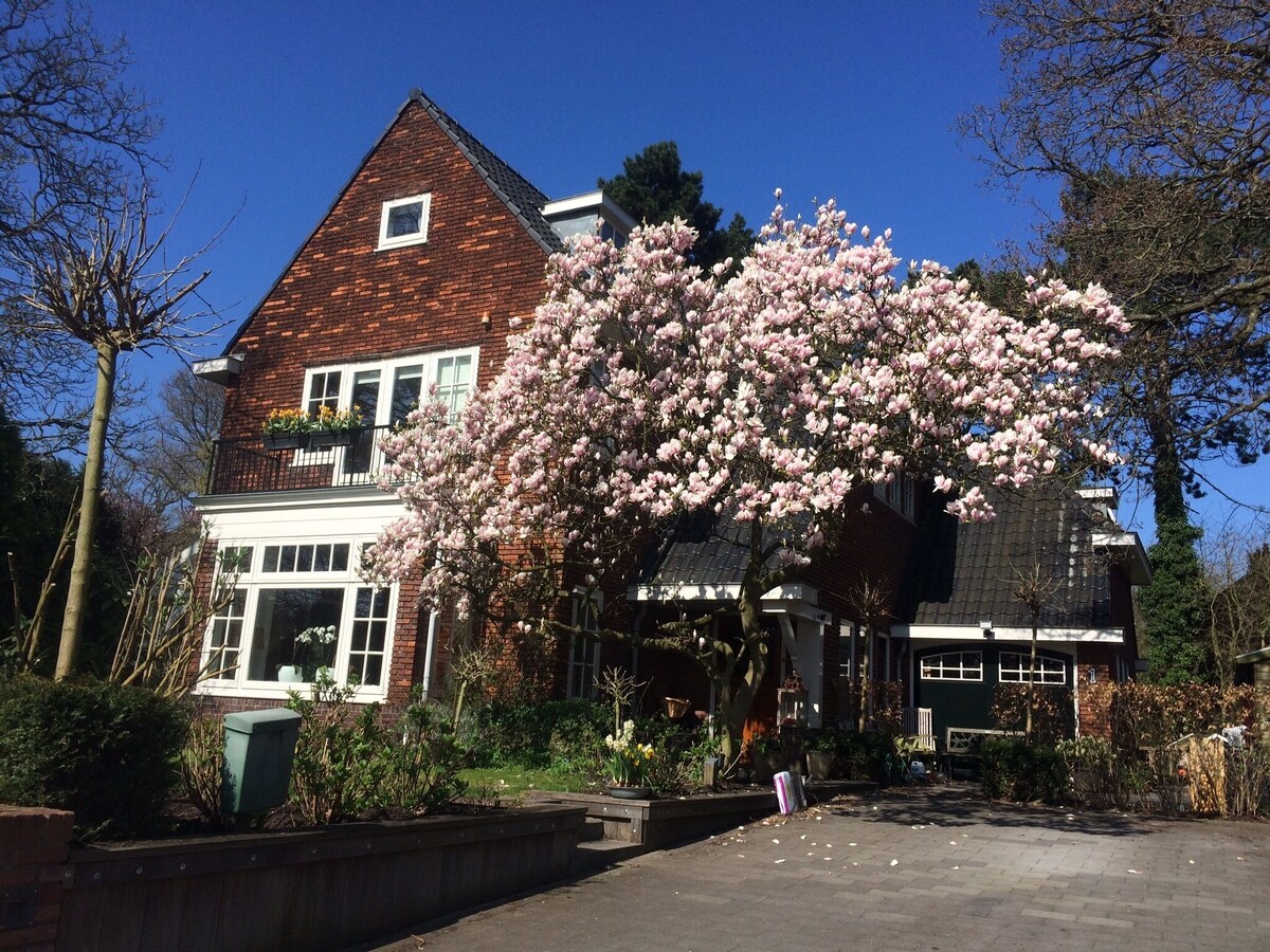 Image de profil de l’hôte