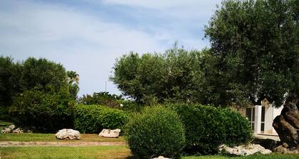 Porto Selvaggio: appartement - Lecce