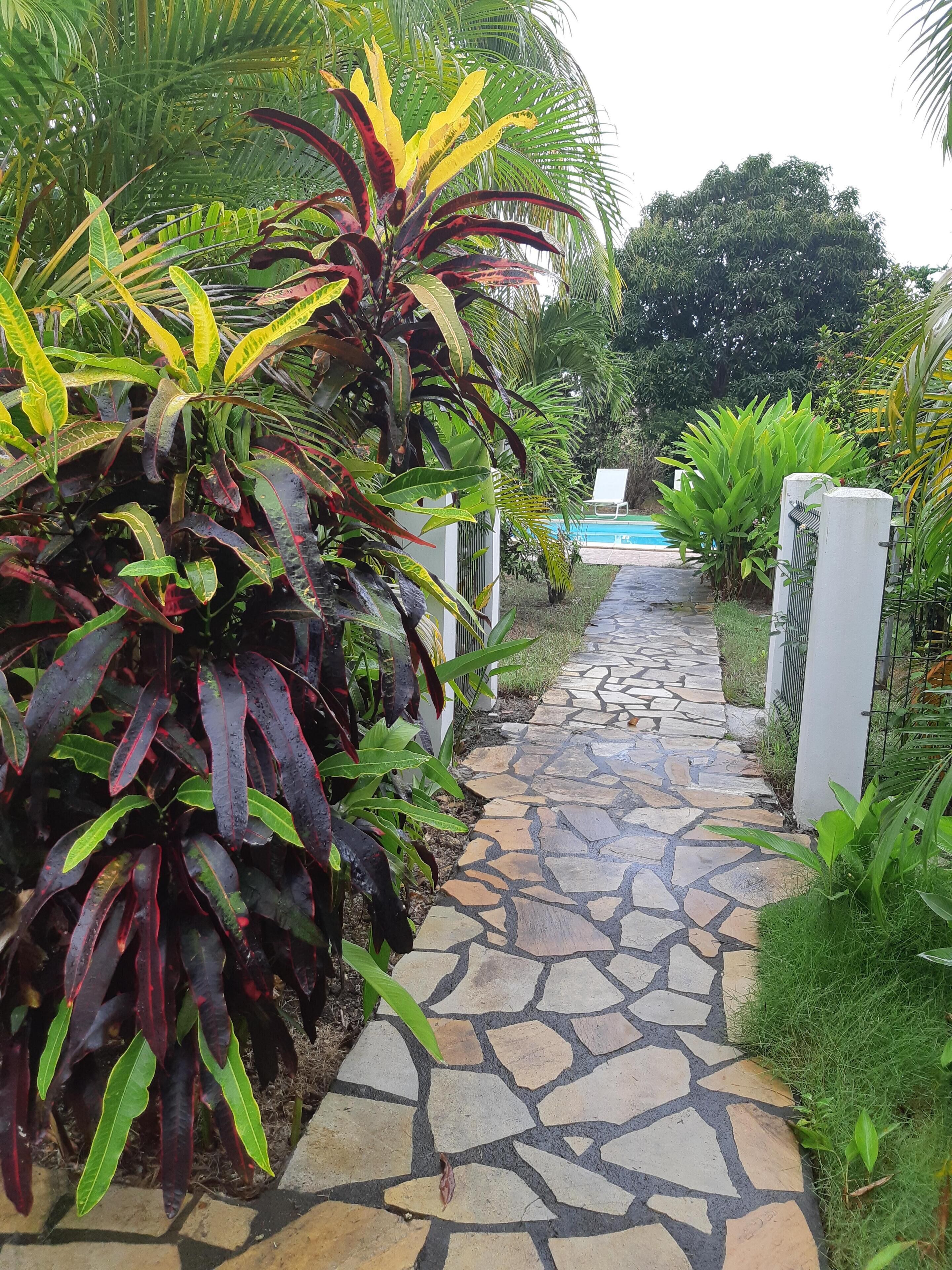 A stone pathway leading to a pool area surrounded by lush greenery and tropical plants.