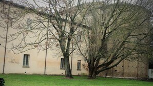 Un bâtiment avec un grand arbre devant, un banc et une zone herbeuse.
