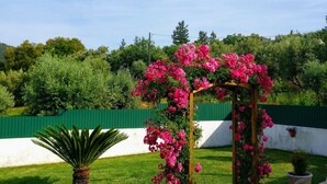 A garden with a wooden pergola covered in pink flowers, a green lawn, and a white wall in the background.