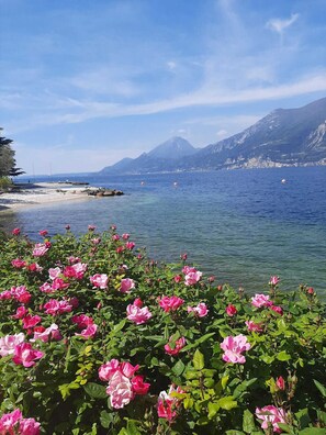 Am Strand, Liegestühle