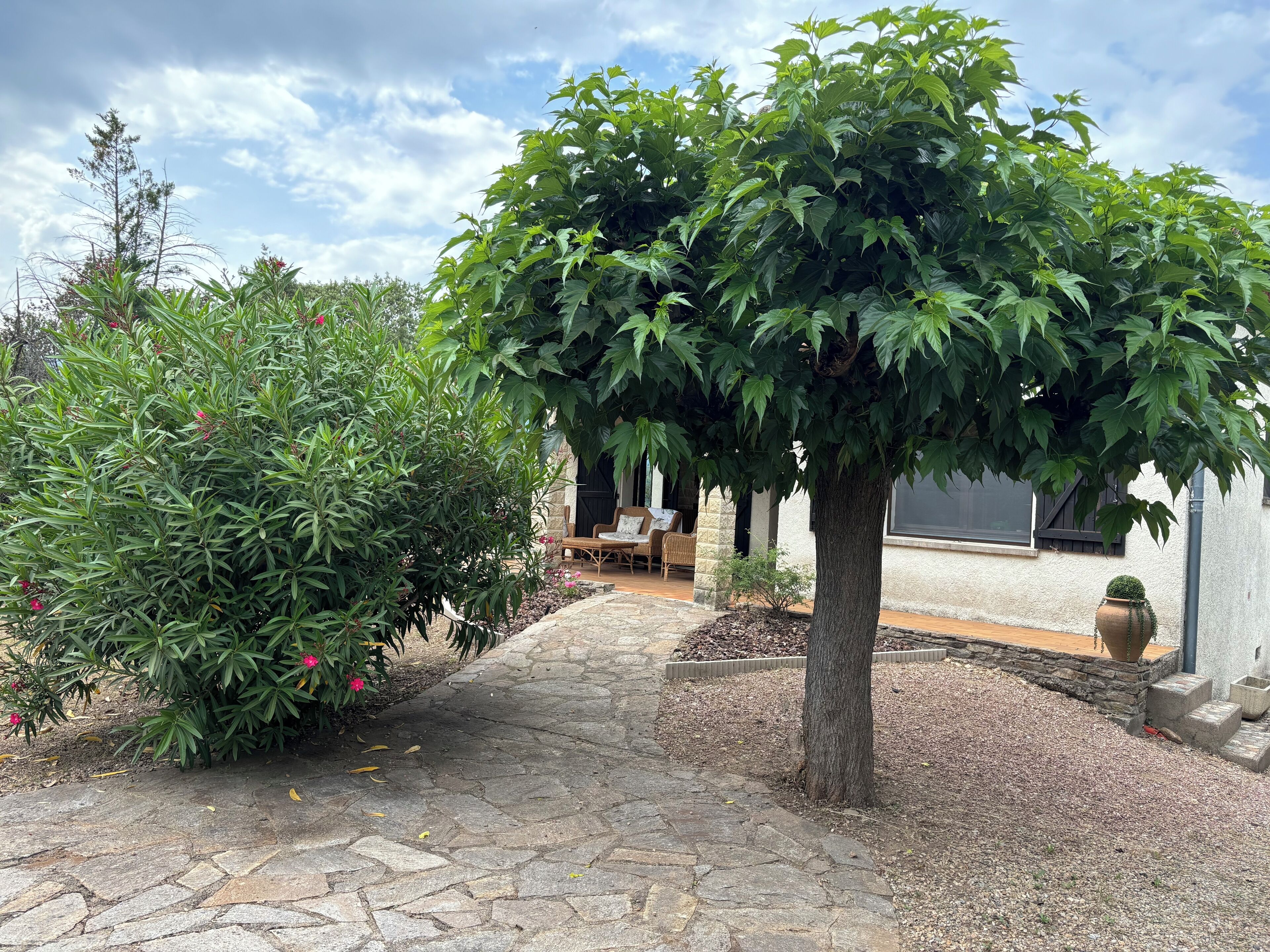 Terrasse/gårdhave