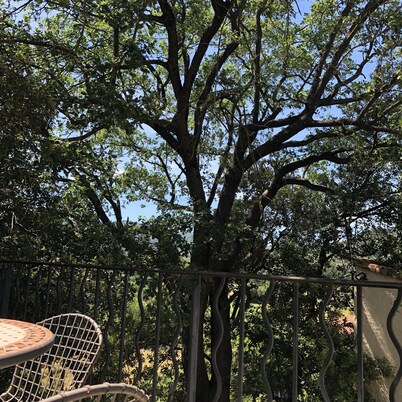 Gran chalet con piscina privada con vistas al valle del río Orb 