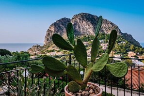 Property grounds - Villa Zabbara Cape Saffron (Bagheria)
