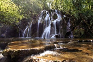A waterfall cascading over rocks in a forested area. - COTTAGE IN BEAUTIFUL MANSION XIXth (Salins-Les-Bains)