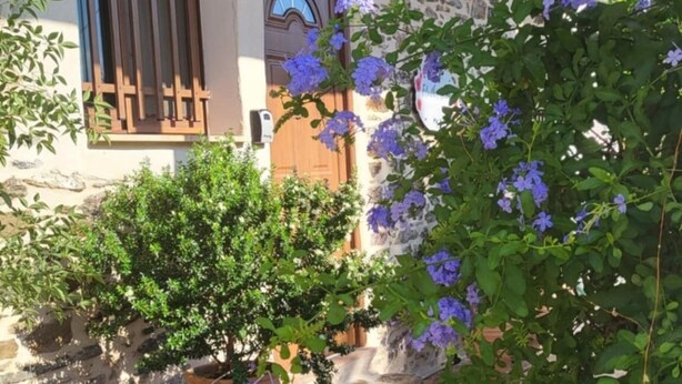 Edifici de pedra amb una porta i una finestra de fusta, envoltat de plantes en testos i flors blaves.