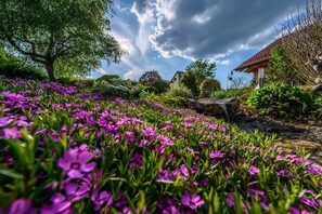 Ein Garten mit lila Blüten, einem Baum und einem Gebäude mit rotem Dach.
