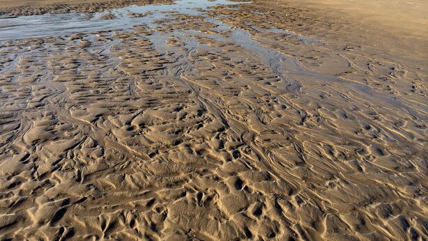 Una playa con arena mojada y agua acumulada en el centro.