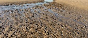 Comfort apartment on Ameland