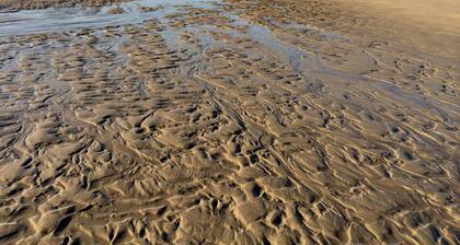 Komfort-FeWo auf Ameland