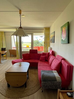 Smart-tv, dvd-afspiller, bøger, musikbibliotek