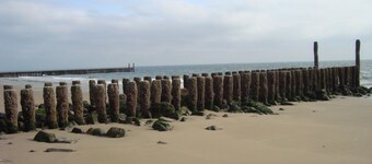 Komfortabel koselig hytte for 2 til 4 personer 200 fra stranden.