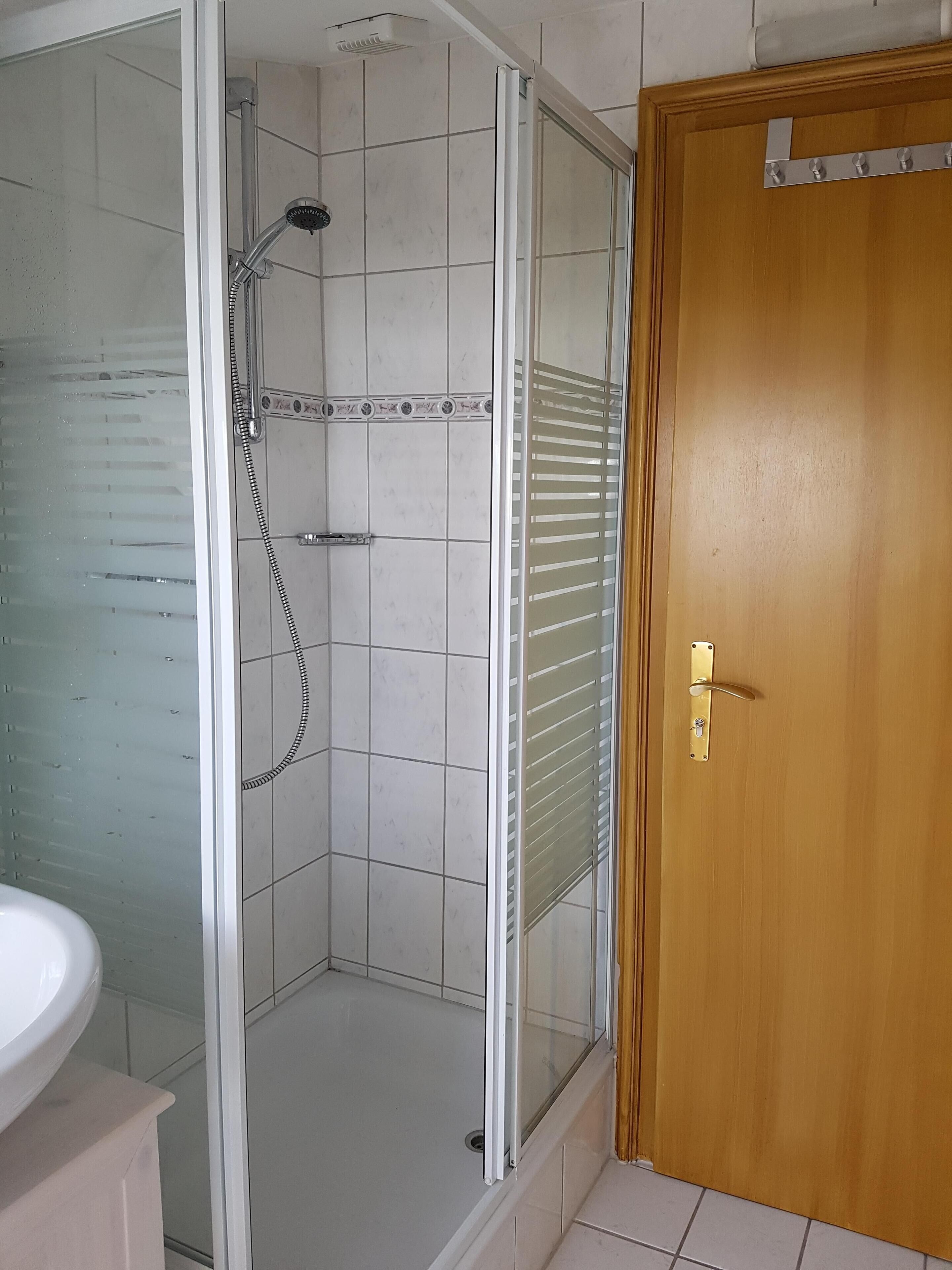 A bathroom with a glass-enclosed shower, a wooden door, and a white sink.