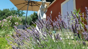 A statue in a garden with lavender plants, a red building, and a large umbrella. - Sun holidays in the calm of the French Riviera. 3 *** apartment (Les Adrets-De-L'estérel)