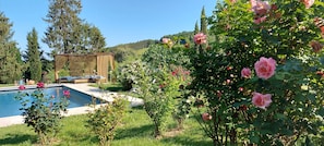 A heated pool - Apartment Le Solutré (Chardonnay)