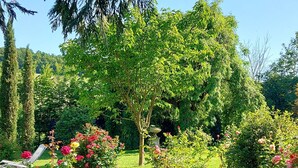 A lush garden with a variety of trees and flowering plants. - Apartment Le Solutré (Chardonnay)