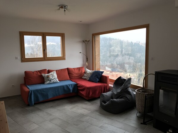 TV, DVD player, books