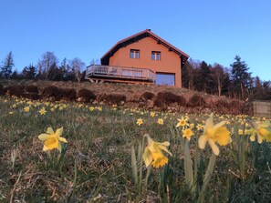Ulkoalueet