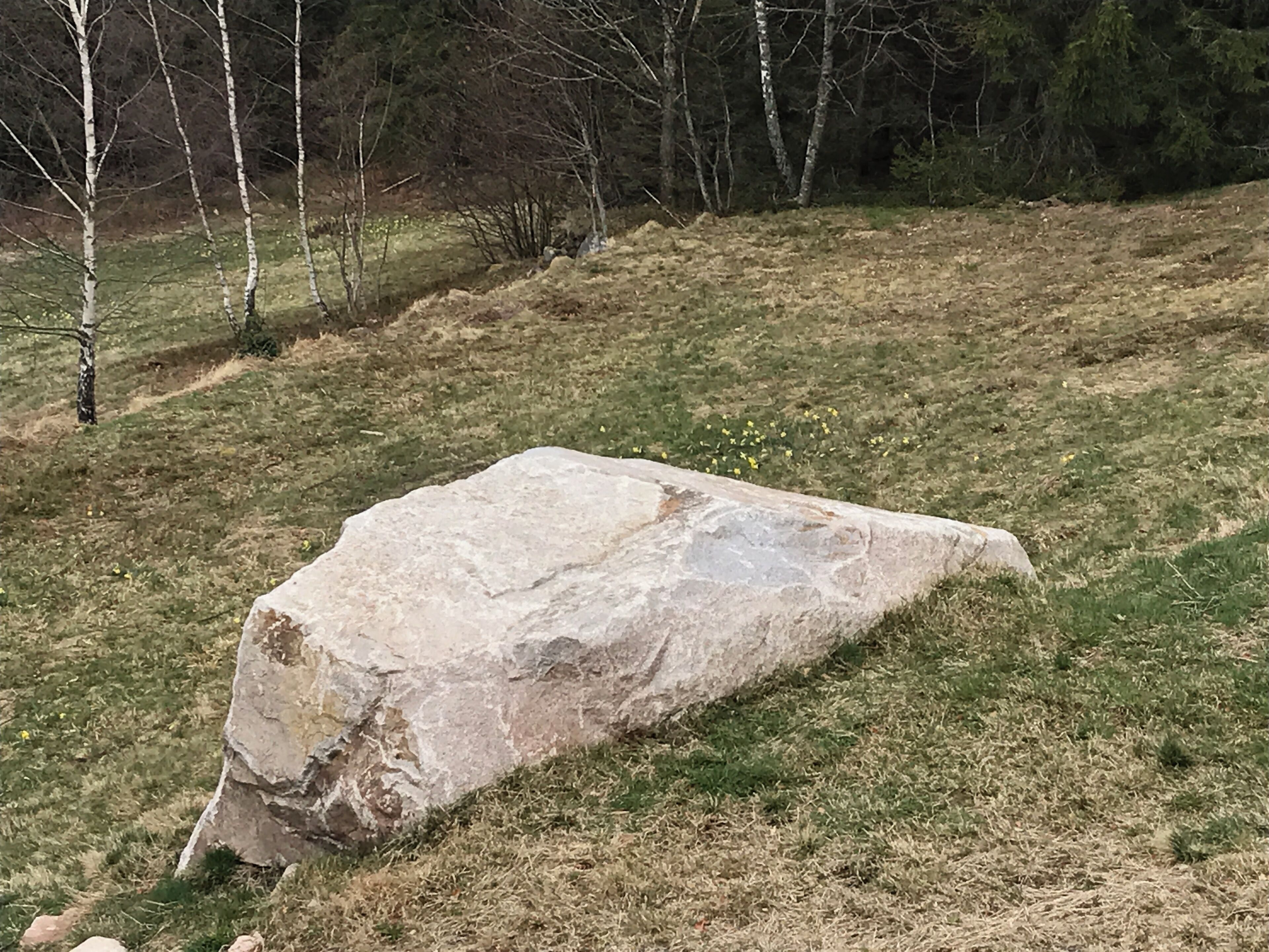 A large, irregularly shaped rock in a grassy field with trees in the background.