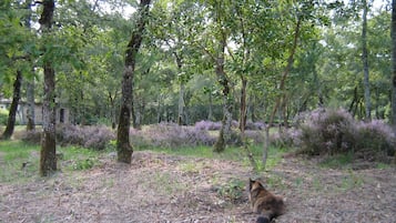 Área da propriedade