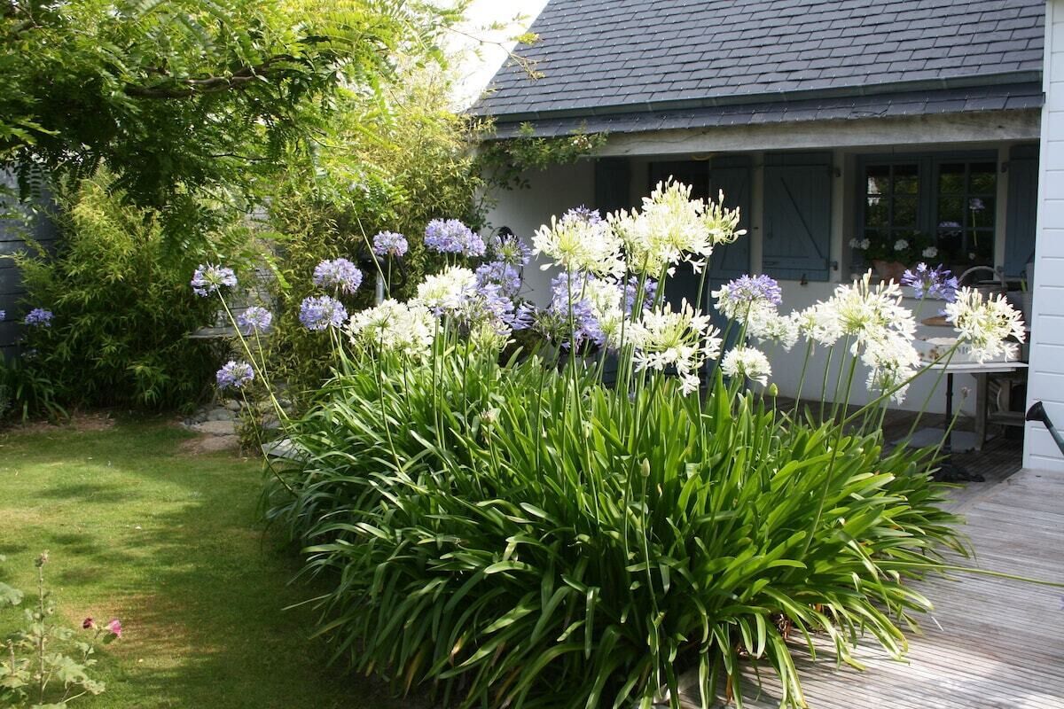 A garden with a variety of flowers and plants in front of a house with a sloped roof and windows.