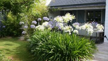 A garden with a variety of flowers and plants in front of a house with a sloped roof and windows.