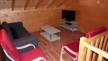 Televisie, een open haard, een dvd-speler en een filmbibliotheek