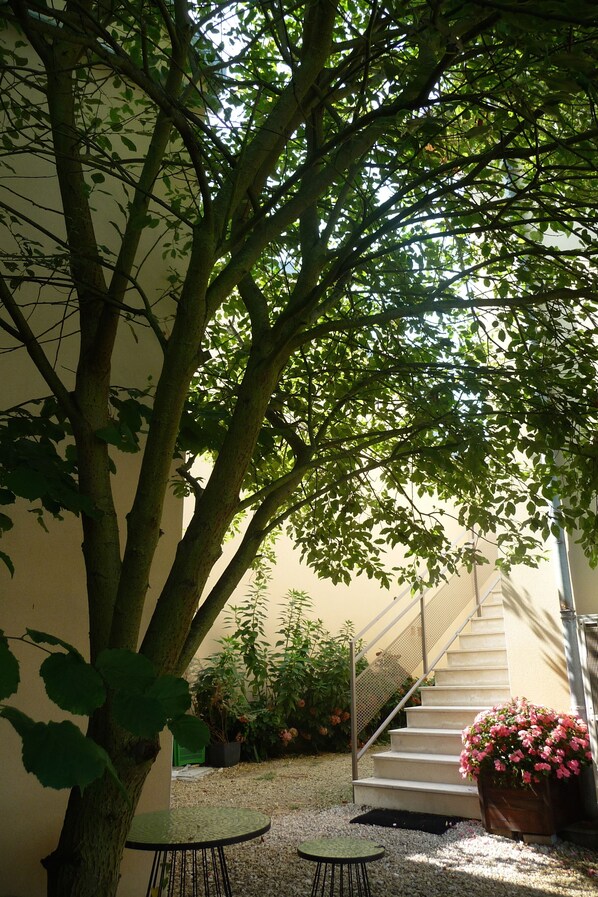 A courtyard with a tree, a staircase, and a potted plant with pink flowers.