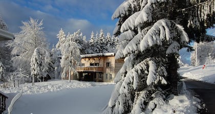 LES ROUSSES - APPARTEMENT CHALET